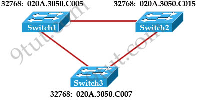 Switch_root_bridge.jpg