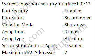 show_port-security_interface.jpg
