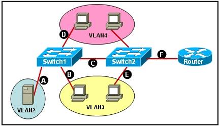 VLAN_trunking.jpg