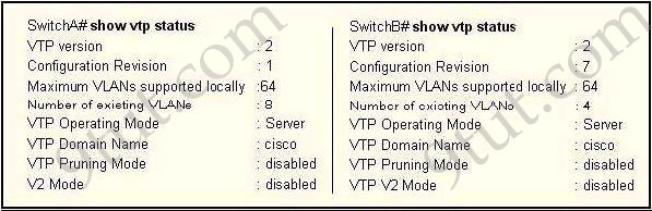 show_vtp_status.jpg