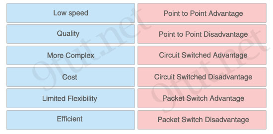 network_type_advantage.jpg