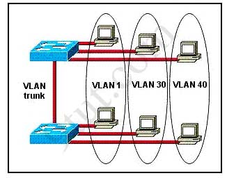 vlanbroadcastdomain